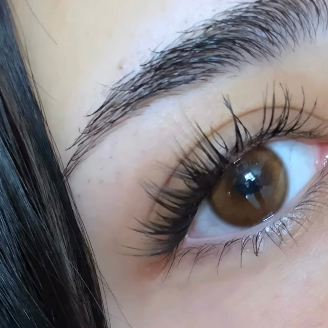 Glitter brown lenses