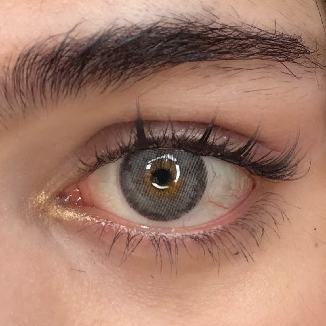 Siri grey
